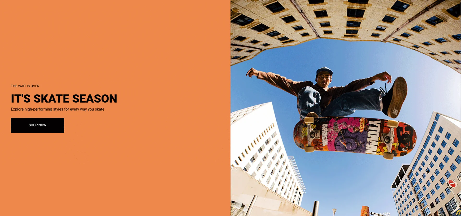Skate Shoes & Snowboard Boots 2